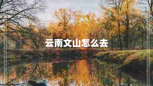 云南文山怎么去 云南文山怎么去