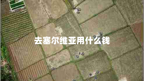 去塞爾維亞用什么錢