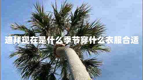 迪拜現(xiàn)在是什么季節(jié)穿什么衣服合適 迪拜現(xiàn)在是什么季節(jié)穿什么衣服合適