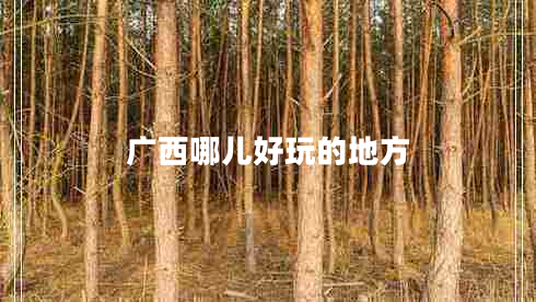 廣西哪兒好玩的地方