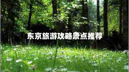 東京旅游攻略景點(diǎn)推薦