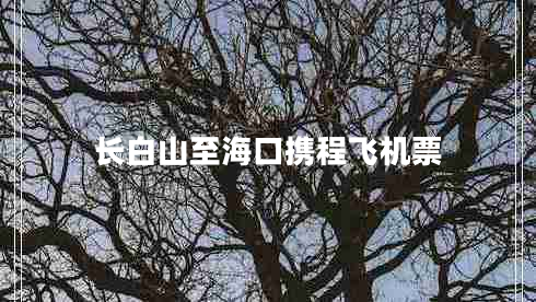 長白山至?？跀y程飛機票