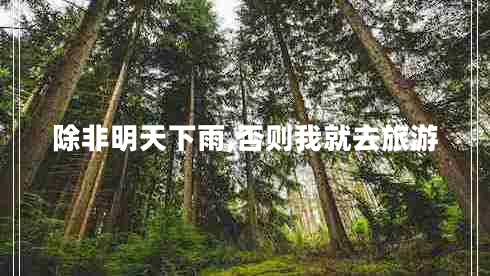 除非明天下雨,否則我就去旅游