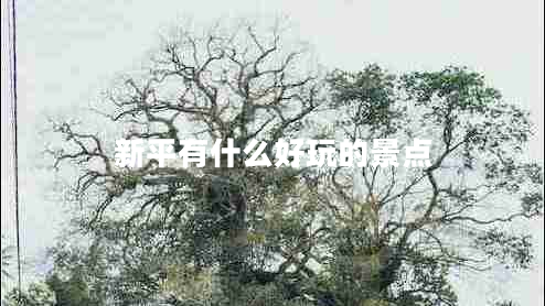 新平有什么好玩的景點 新平有什么好玩的景點