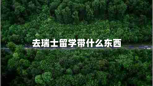 去瑞士留學(xué)帶什么東西