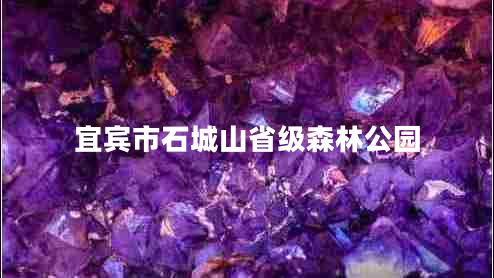 宜賓市石城山省級森林公園