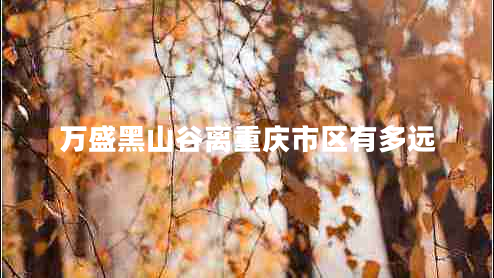 萬(wàn)盛黑山谷離重慶市區(qū)有多遠(yuǎn)