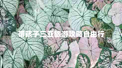 帶孩子三亞旅游攻略自由行