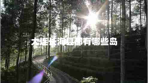 大連長?？h都有哪些島