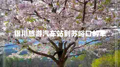 銀川旅游汽車(chē)站到蘇峪口的車(chē)