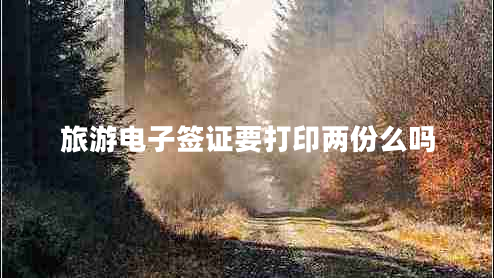 旅游電子簽證要打印兩份么嗎 旅游電子簽證要打印兩份么嗎