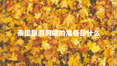 泰國(guó)旅游前做的準(zhǔn)備是什么