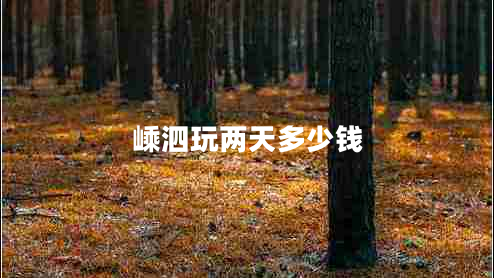 嵊泗玩兩天多少錢