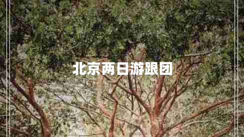 北京兩日游跟團 北京兩日游跟團