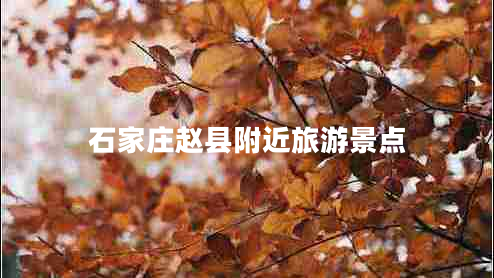 石家莊趙縣附近旅游景點(diǎn) 石家莊趙縣附近旅游景點(diǎn)