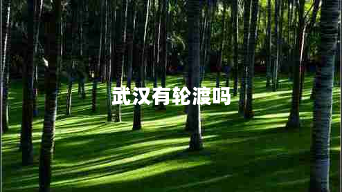 武漢有輪渡嗎 武漢有輪渡嗎