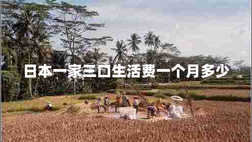 日本一家三口生活費(fèi)一個月多少