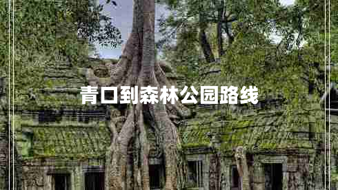 青口到森林公園路線