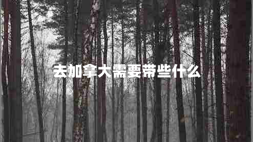 去加拿大需要帶些什么