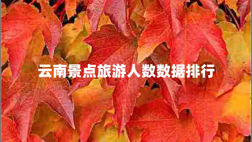 云南景點(diǎn)旅游人數(shù)數(shù)據(jù)排行
