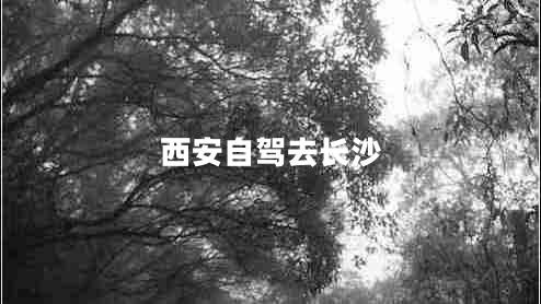 西安自駕去長沙