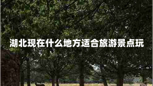 湖北現(xiàn)在什么地方適合旅游景點玩 湖北現(xiàn)在什么地方適合旅游景點玩