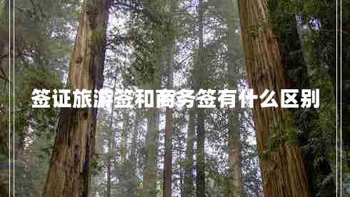 簽證旅游簽和商務(wù)簽有什么區(qū)別