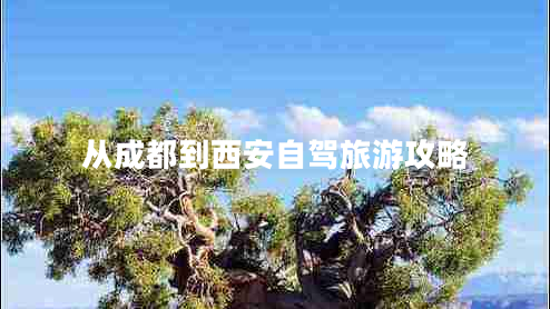 從成都到西安自駕旅游攻略