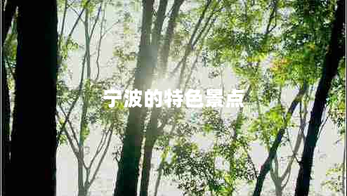 寧波的特色景點