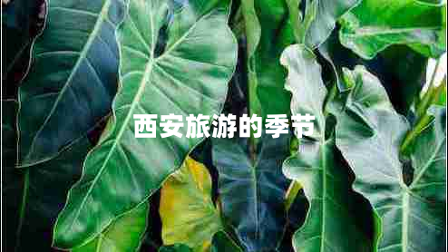 西安旅游的季節(jié)