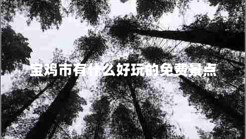 寶雞市有什么好玩的免費(fèi)景點(diǎn) 寶雞市有什么好玩的免費(fèi)景點(diǎn)