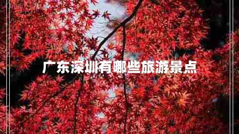 廣東深圳有哪些旅游景點(diǎn)