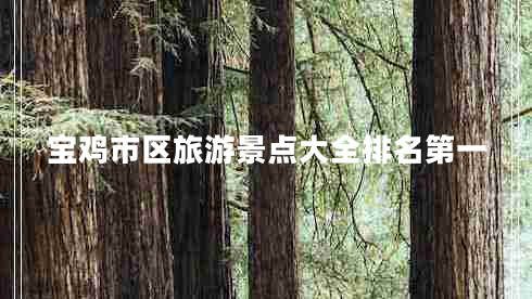 寶雞市區(qū)旅游景點(diǎn)大全排名第一