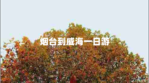 煙臺到威海一日游 煙臺到威海一日游