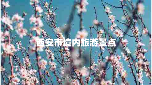 西安市境內(nèi)旅游景點(diǎn) 西安市境內(nèi)旅游景點(diǎn)