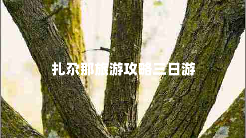 扎尕那旅游攻略三日游 扎尕那旅游攻略三日游