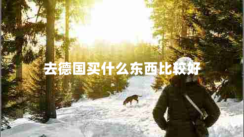 去德國買什么東西比較好