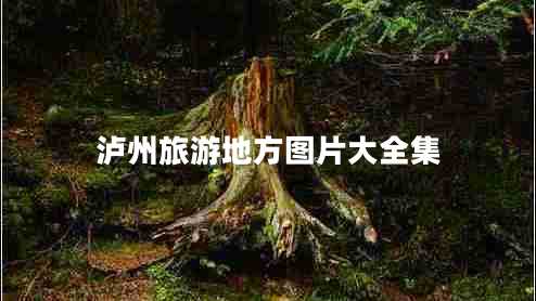 瀘州旅游地方圖片大全集