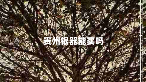 貴州銀器能買嗎
