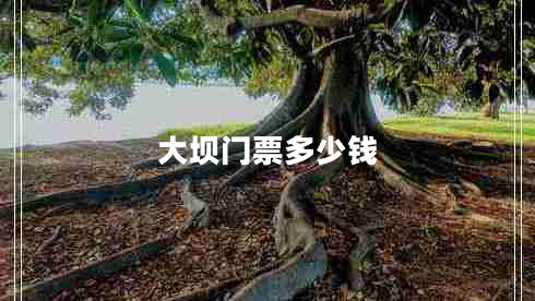 大壩門票多少錢