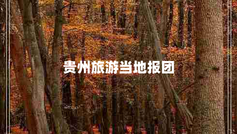 貴州旅游當(dāng)?shù)貓?bào)團(tuán)