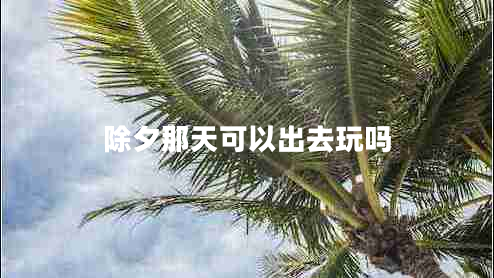 除夕那天可以出去玩嗎 除夕那天可以出去玩嗎