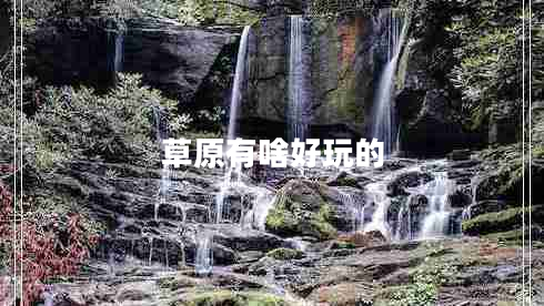 草原有啥好玩的