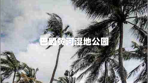 巴盟黃河濕地公園 巴盟黃河濕地公園