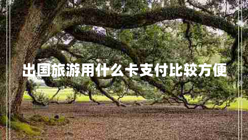 出國旅游用什么卡支付比較方便 出國旅游用什么卡支付比較方便