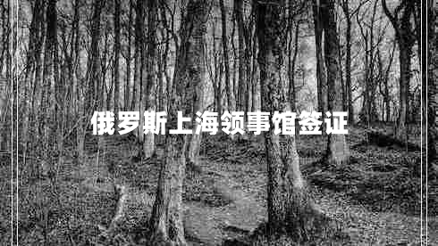 俄羅斯上海領(lǐng)事館簽證