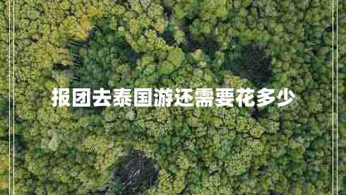 報團去泰國游還需要花多少