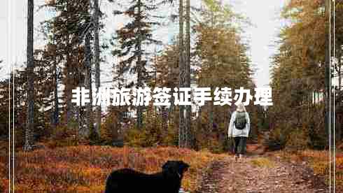 非洲旅游簽證手續(xù)辦理