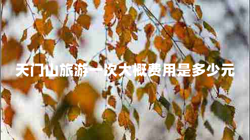 天門山旅游一次大概費用是多少元