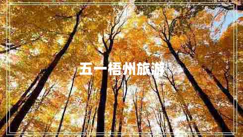五一梧州旅游